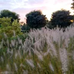 Frühstückspension D'hotes - Au Clos D'amande 4*