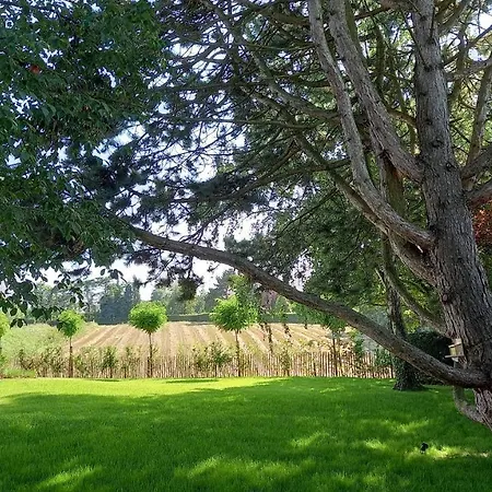 D'hotes - Au Clos D'amande Lasne