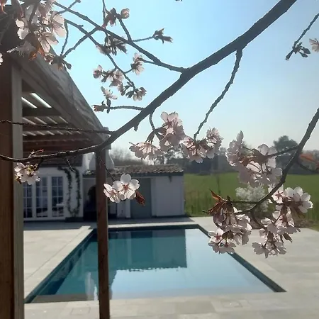 D'hotes - Au Clos D'amande فندق مبيت وإفطار Lasne