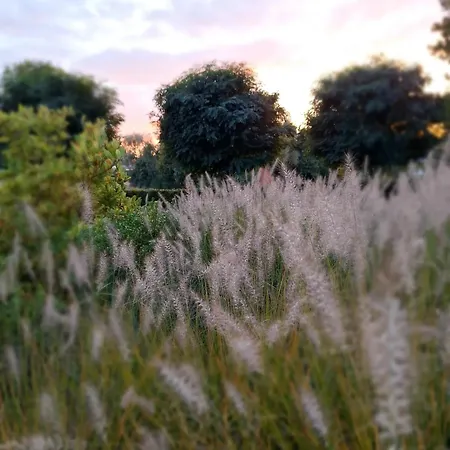 Bed & Breakfast D'hotes - Au Clos D'amande *