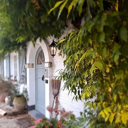 Bed & Breakfast D'hotes - Au Clos D'amande Lasne
