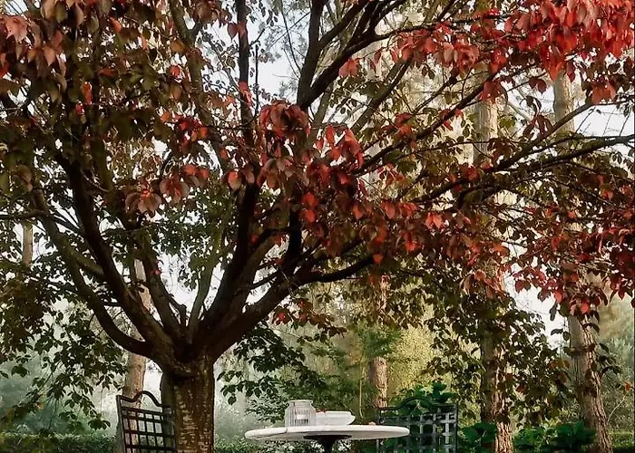 Couette-café D'hôtes - Au Clos D'amande Lasne